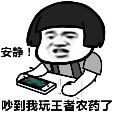 王者荣耀斗图表情包第171期 你负责一打五我负责躺