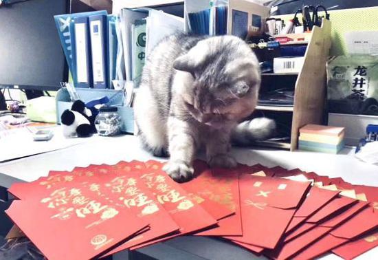 “掌管”财政的CFO麦总