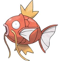 精靈寶可夢(mèng)go鯉魚(yú)王