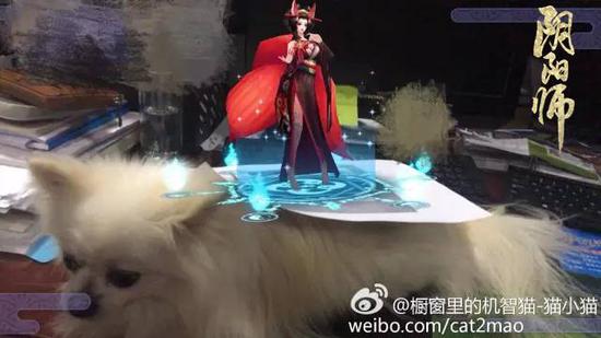 （三尾狐姐姐的新地毯）