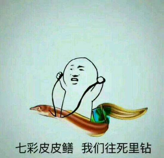 污言以怼第二十五期 七彩皮皮鳝我们往死里钻_97973手游网