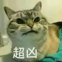 ΑԪ҂һuɣ