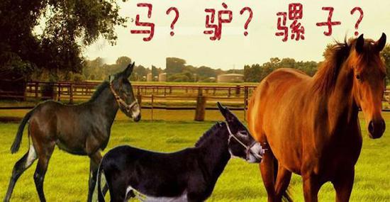 ����Ϸ�Ļ����ǳ̸������Ϸ���