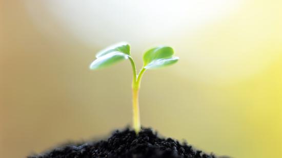 ����Ϸ�Ļ����ǳ̸������Ϸ���