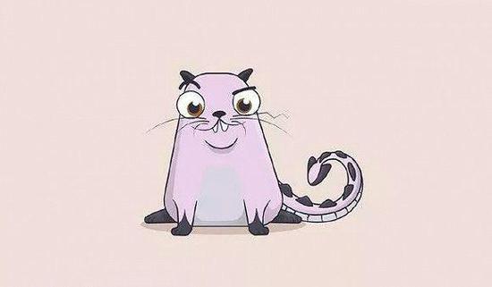 172000美元的数字猫