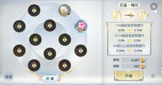 十二种花鉴，全面提升属性