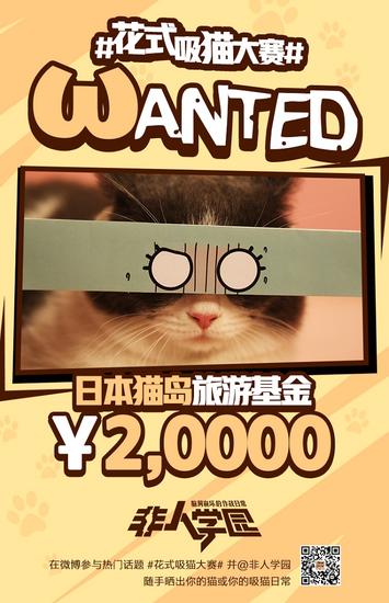 花式晒猫大赛 2万奖金悬赏