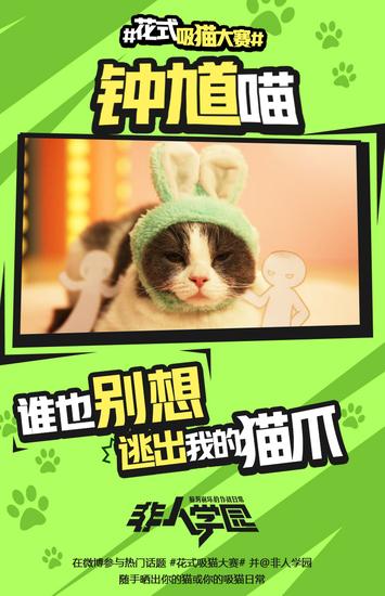 学园萌猫齐齐出阵 钟馗喵