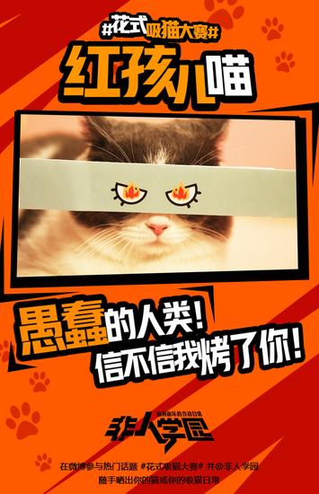 学园萌猫齐齐出阵 红孩儿喵