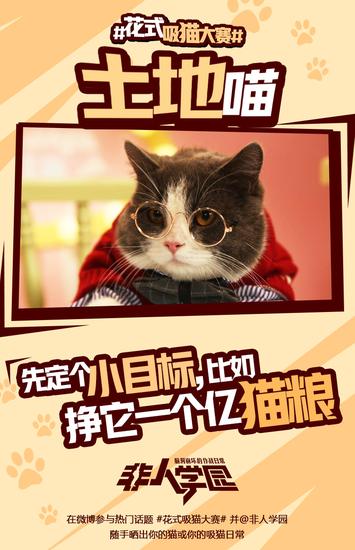 学园萌猫齐齐出阵 土地喵