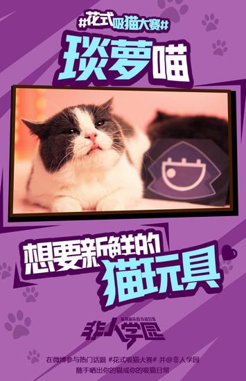 学园萌猫齐齐出阵 琰萝喵