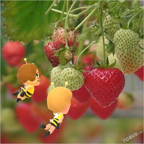 Miitomo截图