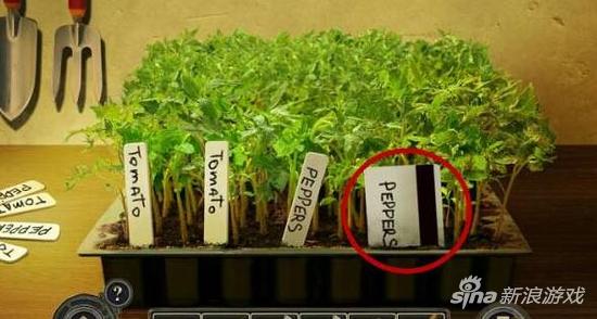 47號設(shè)施第十四部分圖文攻略