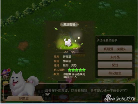 梦幻西游手游牧场系统介绍