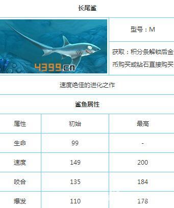 饥饿鲨世界鲨鱼图鉴大全 绝佳速度的长尾鲨_9