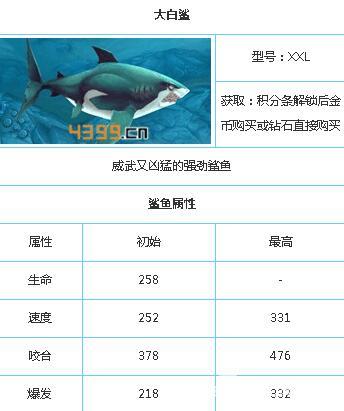 饥饿鲨世界鲨鱼图鉴大全 威武又凶猛的强劲大