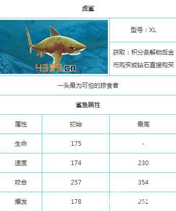 饥饿鲨世界鲨鱼图鉴大全 可怕的掠食者虎鲨_9