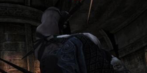 新手须知 无尽之剑命运药草有什么作用？
