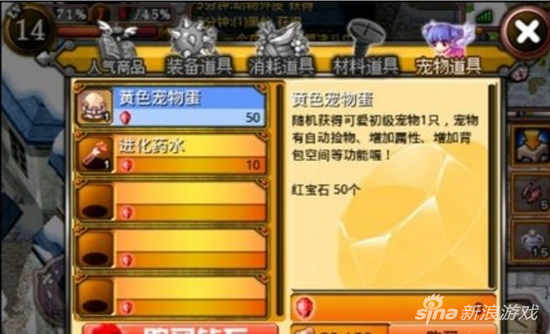 仙境传说RO