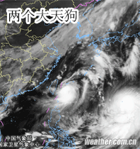 《阴阳师》表情包