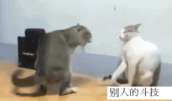 《阴阳师》表情包