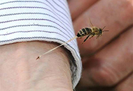 35张完全超乎你想象的惊奇照片