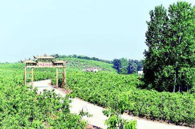 六安市“江淮果岭”机械化现场会召开