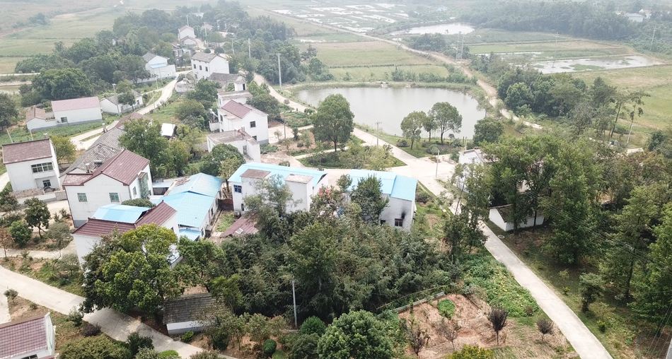 枞阳市人口_枞阳浮山
