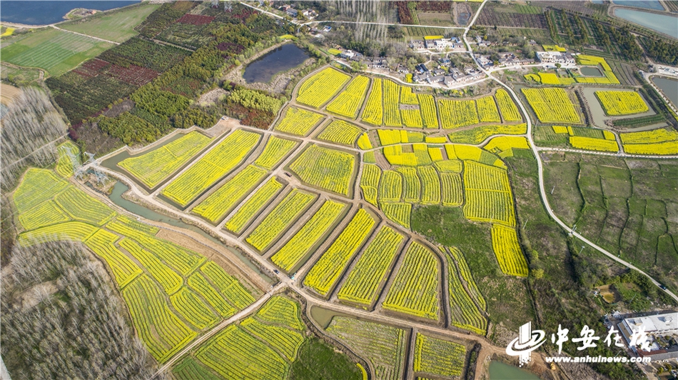 桥头集镇gdp_启明公益万里行 安徽合肥站肥东县桥头集镇敬老院捐赠仪式