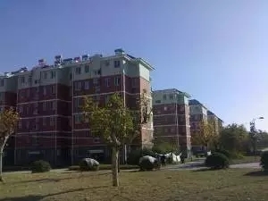 合肥全椒县gdp_媒体聚椒 涂料大会 市场星报整版点赞全椒营商环境(2)