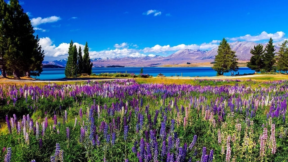 .票:目前国内的北京、上海、广州和香港开通了