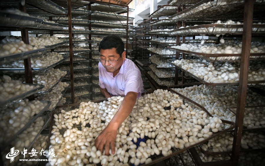桑值人口_人口普查图片(3)