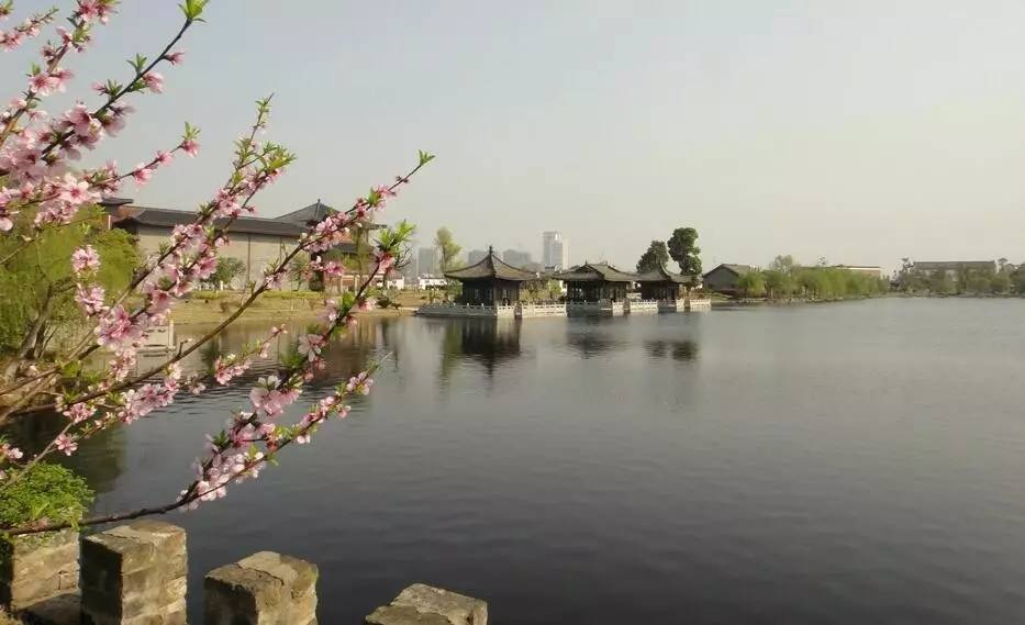 池州市人口有多少_池州市特殊教育学校