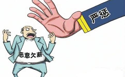 点击图片查看详情 影响光合作用的因素_影响农民收入的因素(3)