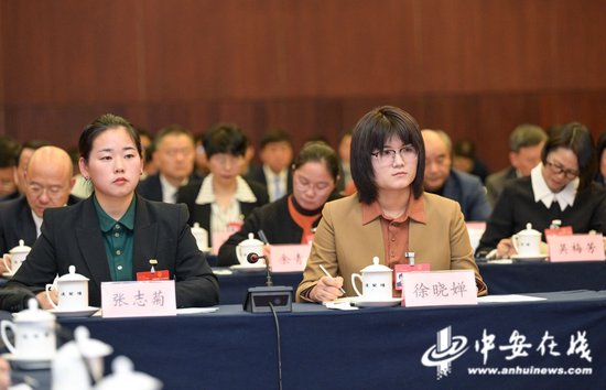安徽代表团女代表参加团组会议