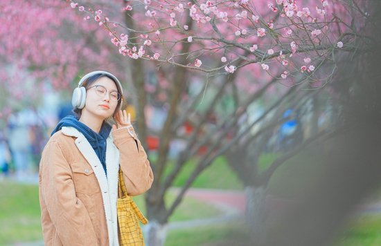 光影定格夺目梅花色。葛庆钊　摄