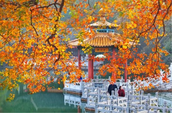 琅琊山 图源：琅琊山景区