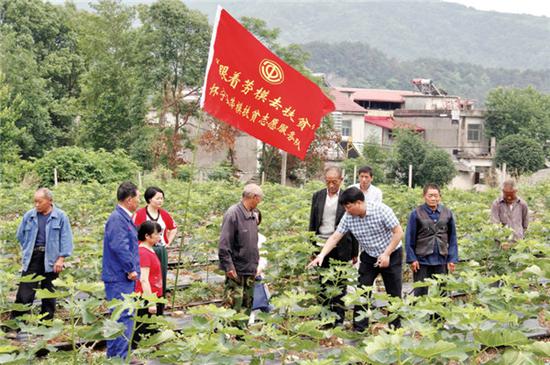 全国劳模、月山镇复兴村党支部书记查正严(右三)现场向贫困户传授种植无花果技术