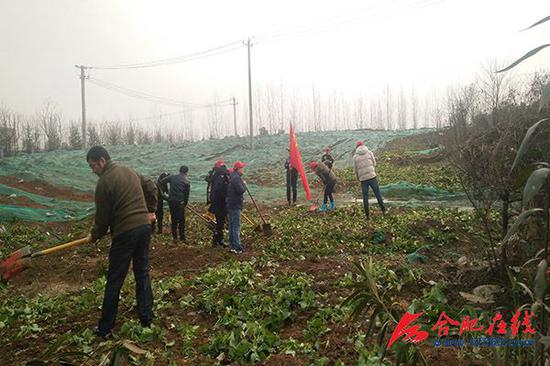 海恒社区工作人员铲除宿松路与观海路交口的菜地