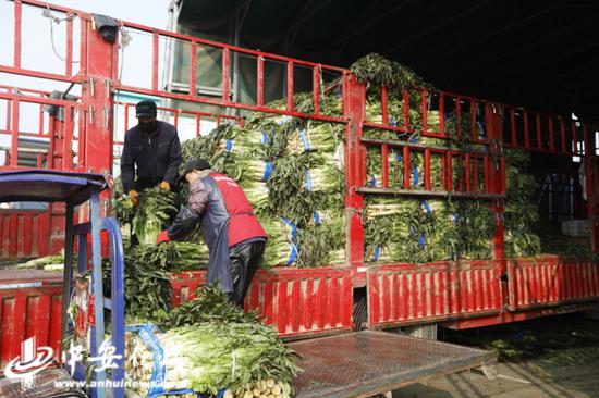 周谷堆市场内的经营户正在搬运蔬菜