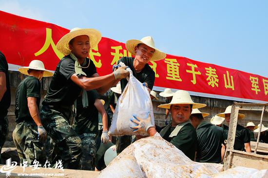 在铜陵市枞阳县正大街长河上码头，500余名跨区增援的武警安徽总队蚌埠支队抗洪官兵顶着高温酷暑，分批次轮流卸载袋装土（沙）子梗和支撑，持续为防洪墙“减负”