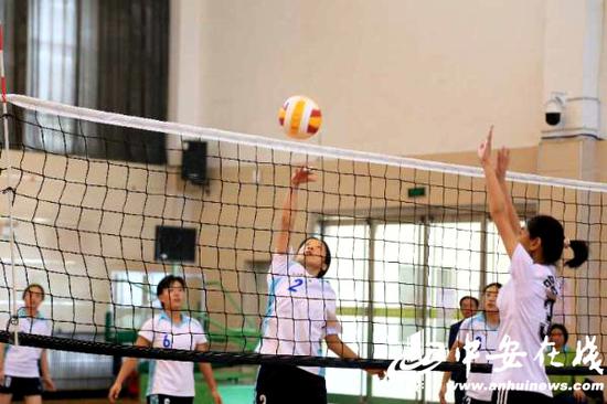 合肥2020中考学校排名_2020年合肥市中小学排球比赛顺利开赛