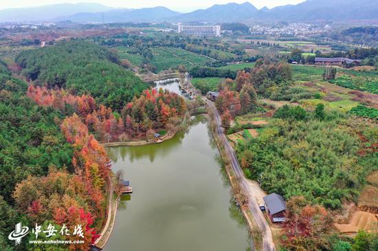 谢裕大通过打造“品牌+名茶+旅游”，带动周边农民脱贫致富