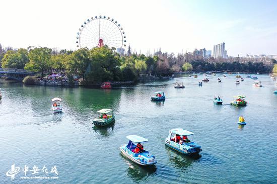 大年初七,前往合肥杏花公园游玩的市民络绎不绝