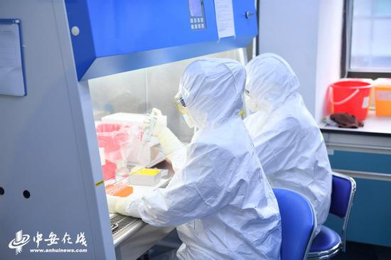 PCR专业技术人员在生物柜提取病毒核酸