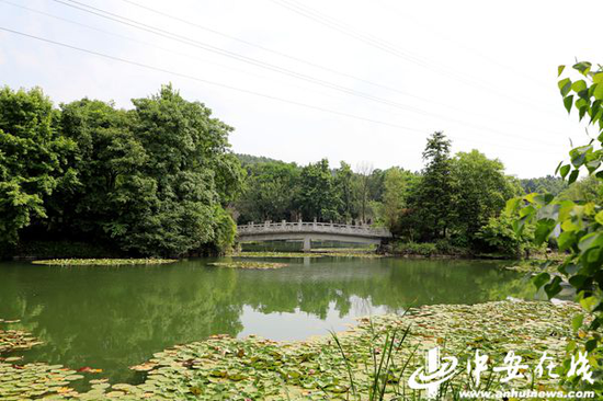 永泉农庄一角 风景怡人。