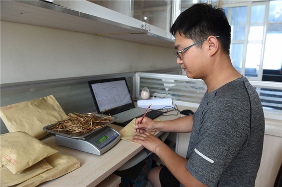 在安徽省阜阳市太和县旧县镇，徐旭东在实验室对农作物样品进行称重和记录（6月28日摄）。新华社记者 周牧 摄