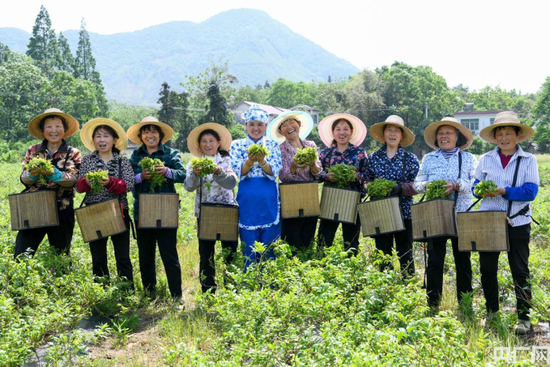  江莉（左五）与村民在一起。（央广网发 义安区宣传部供图）