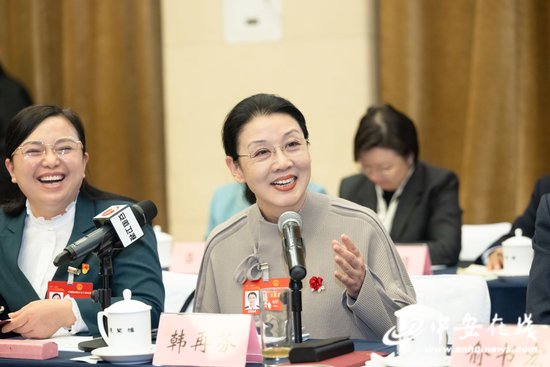 安徽代表团女代表参加团组会议