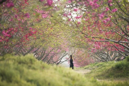  📍三十岗&nbsp;&nbsp; @邱少林